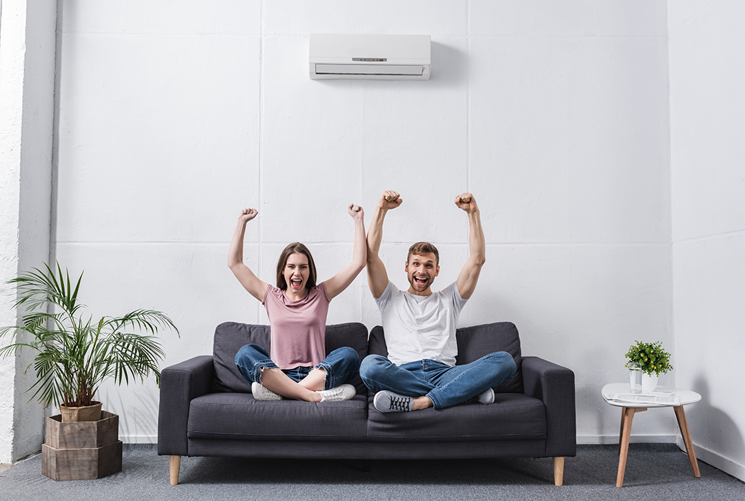 excited-shouting-couple-at-home-with-air-condition-2024-11-09-06-48-54-utc Cost, Efficiency, and Long-Term Value